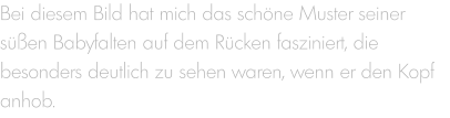 Bei diesem Bild hat mich das schöne Muster seiner süßen Babyfalten auf dem Rücken fasziniert, die besonders deutlich zu sehen waren, wenn er den Kopf anhob.